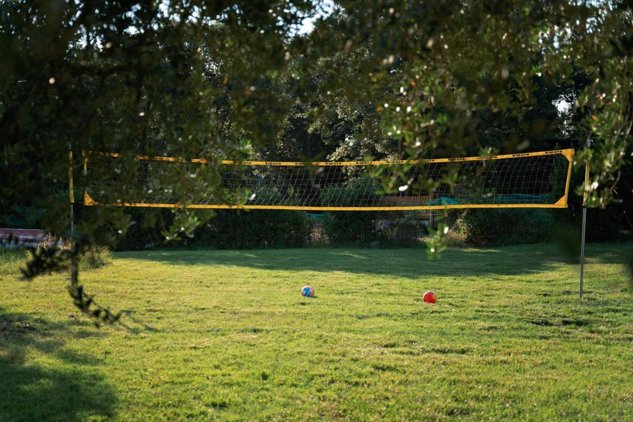 Guesthouse "Barboska" - Big Outdoor Swimming Pool & Private Tennis Court Vodnjan Eksteriør billede